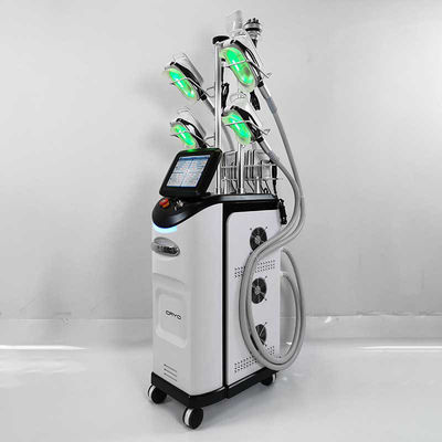 복부 세륨 Cryolipolysis 기계, 기계를 체중을 줄이는 Cryolipolysis 뚱뚱한 동결